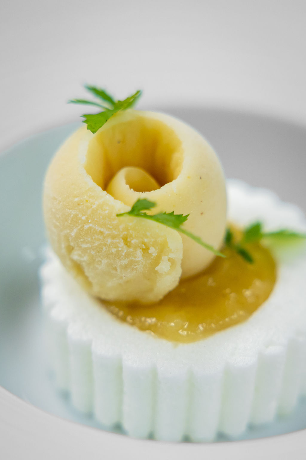 ThomasBoyron-FrenchRivieraPhotography-34-_RP_8934